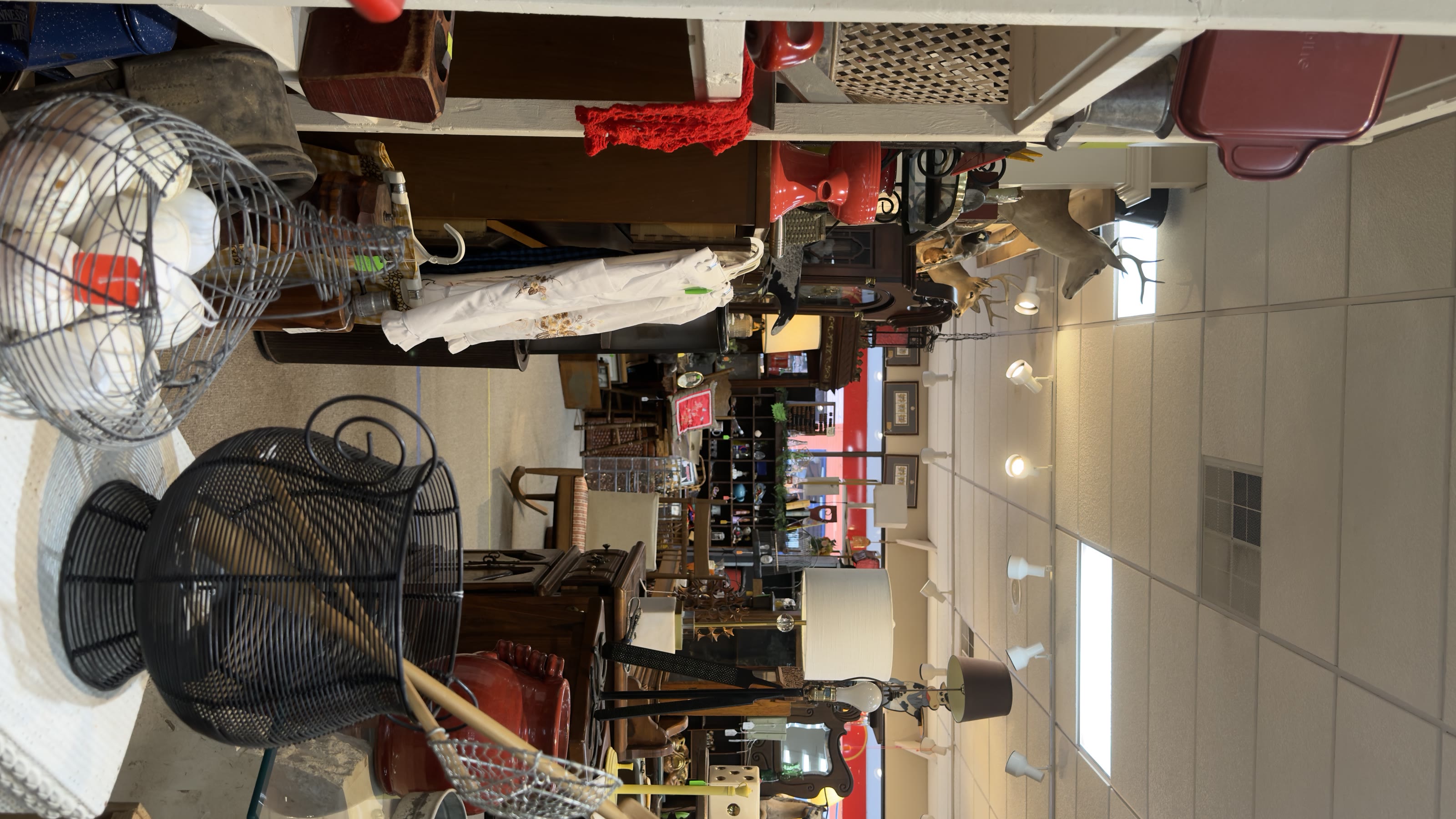 Eclectic interior with taxidermy deer head, lamps, and antique clutter